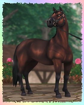 Lipizzaner, Spotlightglory (Ashton).png