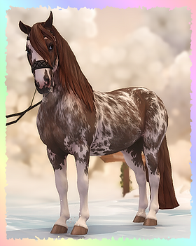 Criollo, Bubbletea.png