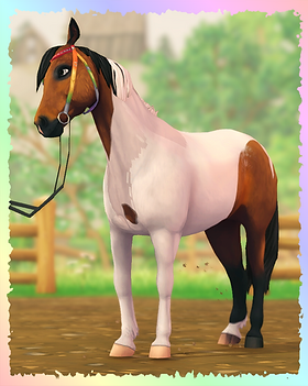 Assateague Pony, Illusion.png