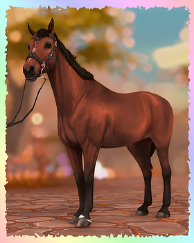 Belgian Warmblood, Fortune (H&M All In).png