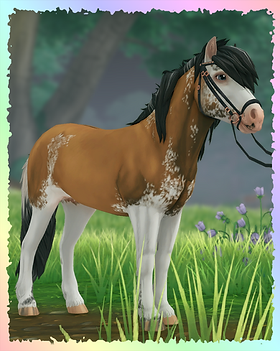 Icelandic Horse, Stormy.png