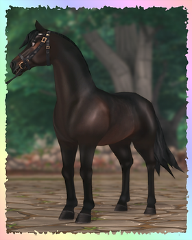 Morgan, Ghostwhisper.png