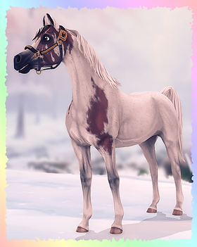 Arabian, Sorcerer.png