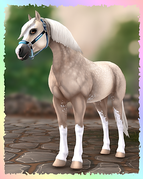 Welsh Pony, Sunshine (Justin).png