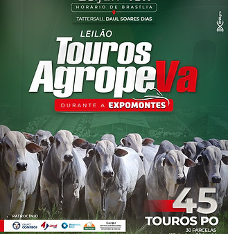 Feed Leilão Touros Agropeva 260626.jpeg