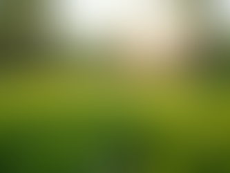 Optimal Fertilization Schedule for Lawns in Mississippi