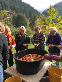 apple squeeze 2016 (1)