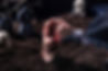 spooky-bird-trying-bite-zombie-hand-halloween-graveyard.jpeg