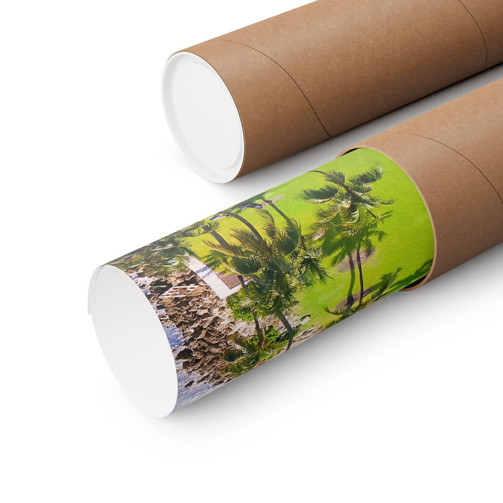 Thumbnail: Tropical Art Matte Horizontal Poster