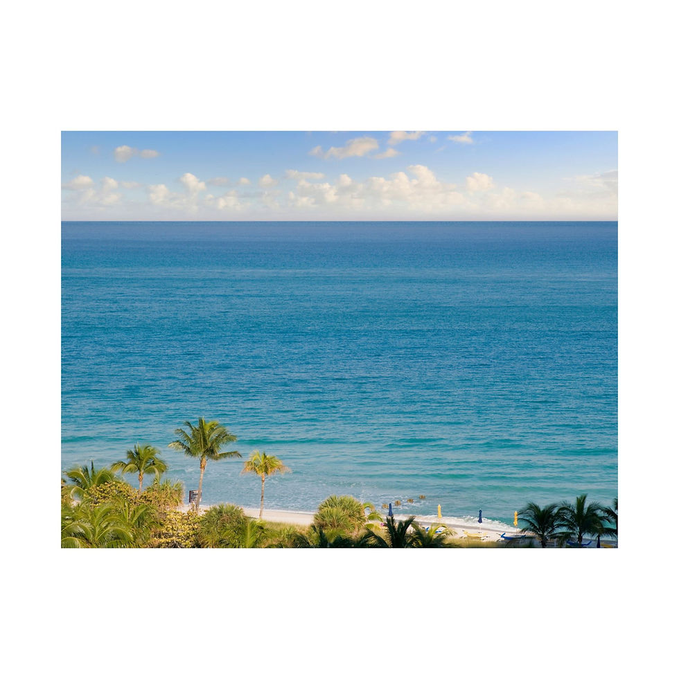 Thumbnail: Serene Beach Landscape Poster