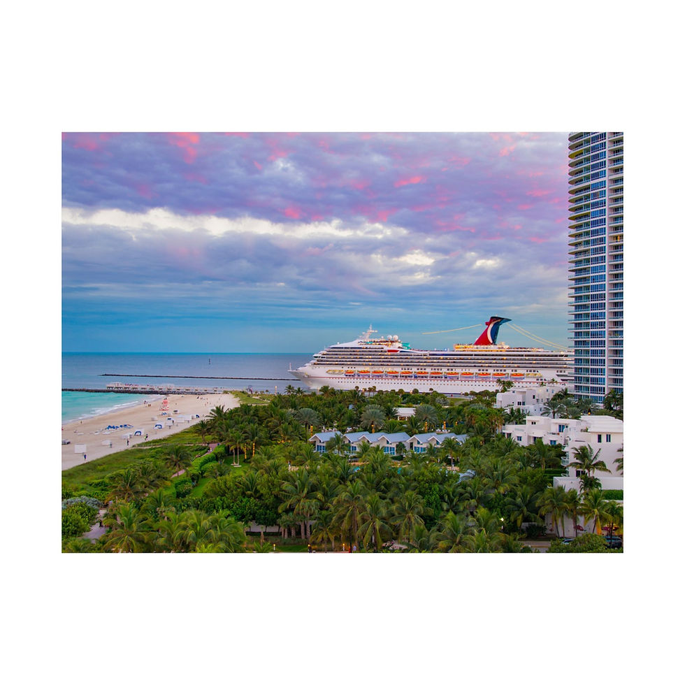 Miniatura: Tropical Cruise Wall Art Poster