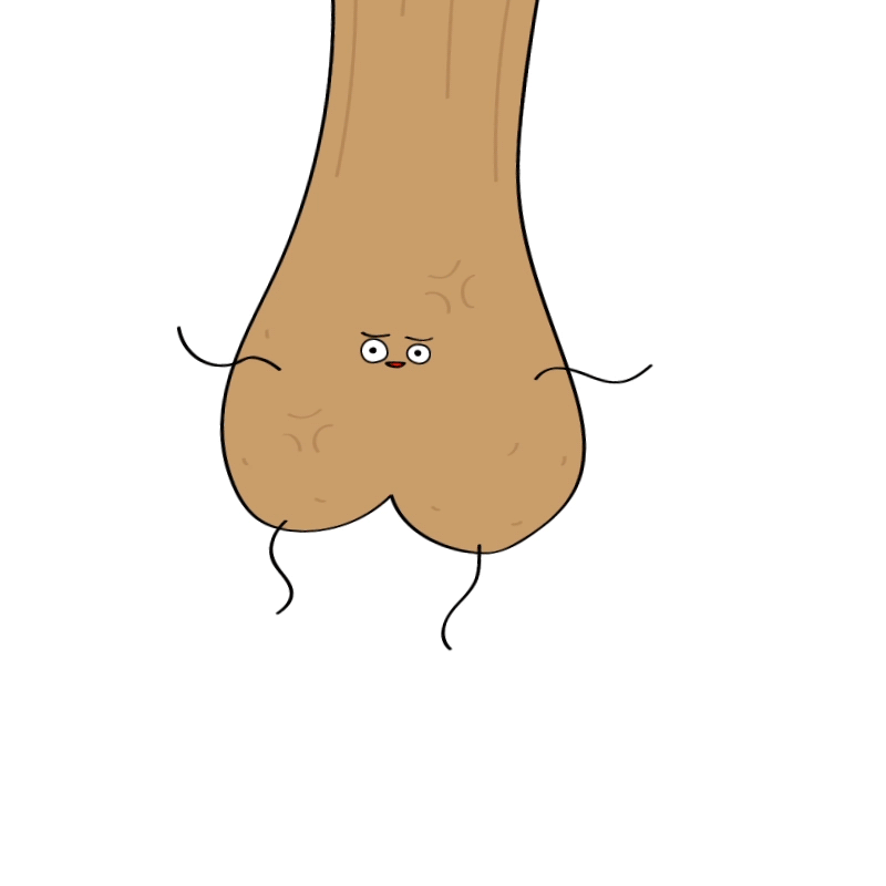 Comp-41.gif