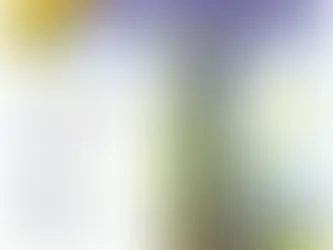 Literarni natječaj: DRVO-Mudrost, znanje, križ i stablo. MHR-RP