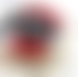 Baked cheesecake decorated with raspberries, blackberries, lightly dusted with powdered sugar on a cooling rack.