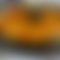 The Ultimate Guide to Authentic Valencian Paella: A Traditional Spanish Recipe