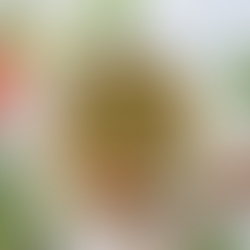 Grapefruit Avocado Salad