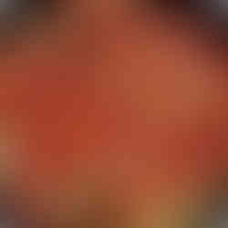 Cover with another layer of tomato sauce