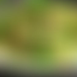 Whipped Feta & Spiced Cucumber Salad: A Refreshing and Nutrient-Packed Delight