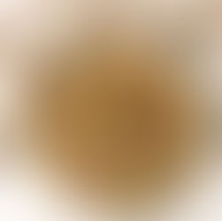 Grilled Fennel with Tuna, Sun-Dried Tomatoes, Capers & Olives