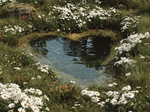 What is Mindgardening?