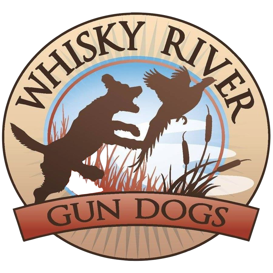 Writer: Whisky River Gun Dogs
