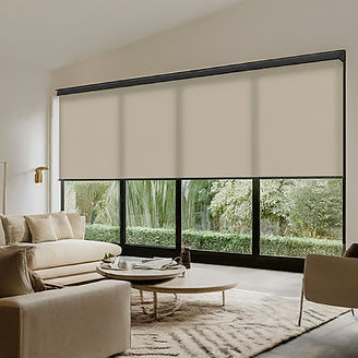 Light Filtering Roller blind.jpeg