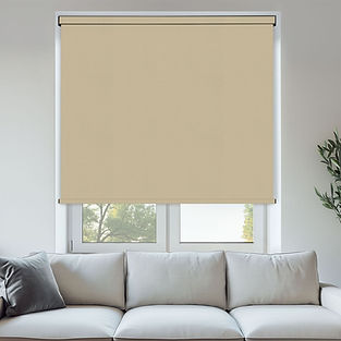 Block Out Material Roller blind.jpg