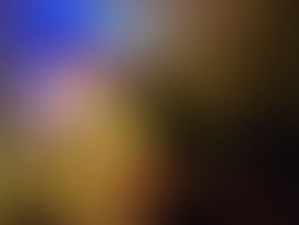 Diwali Bhajan + Lighting - Photo Gallery