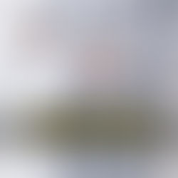 ROUPÃO STYLE | Por você, essa moda pega?