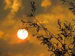 Sunset at Markermeer