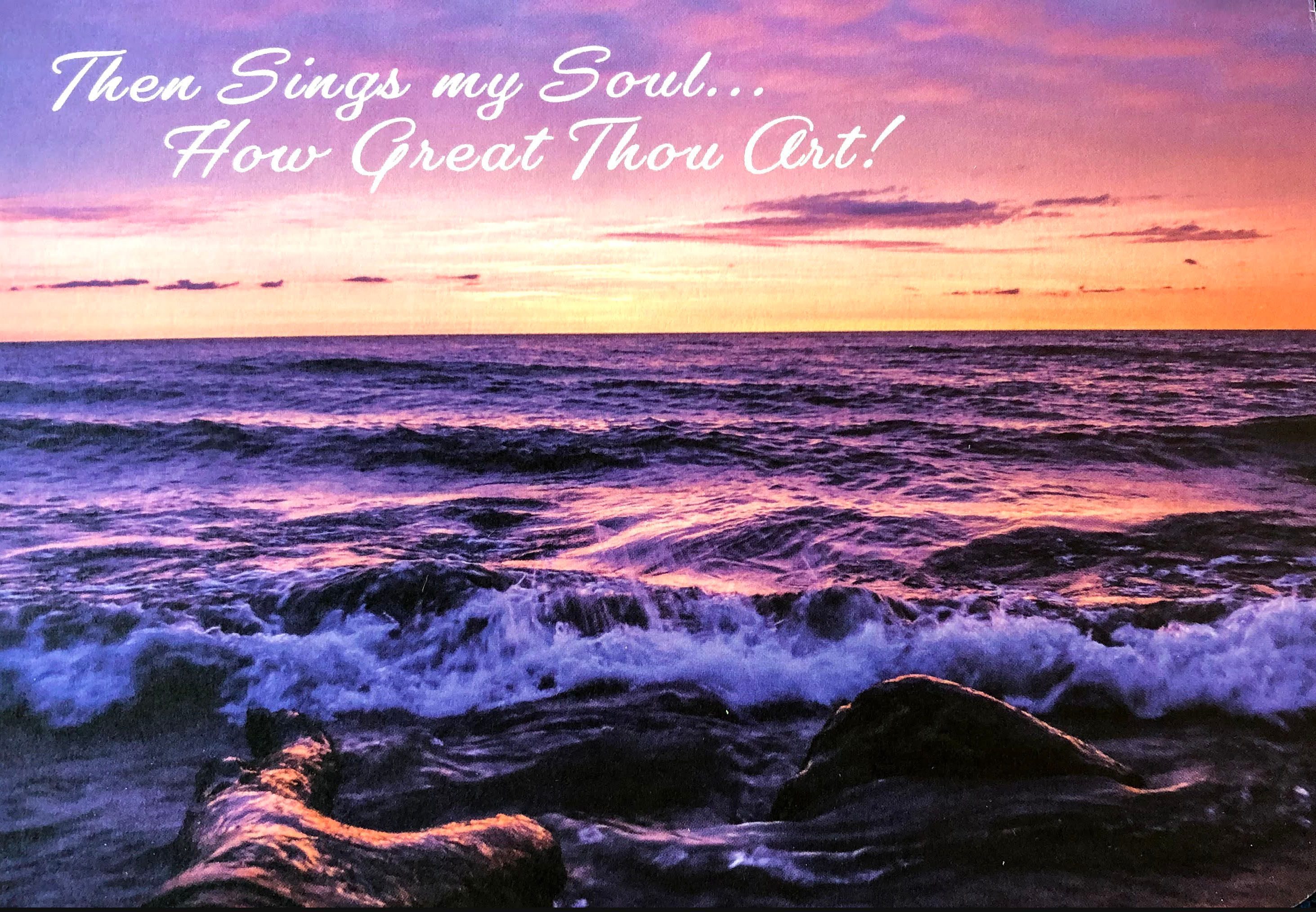 5x7 Sympathy Set-Seasonal