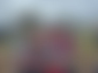 U10 Division 1 Premiers!