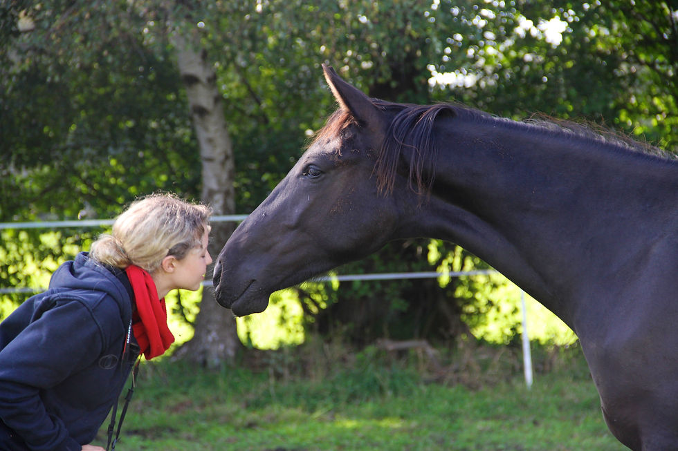 Thumbnail: Da Vinci N