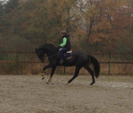 Thumbnail: Stacopi by Stakkato