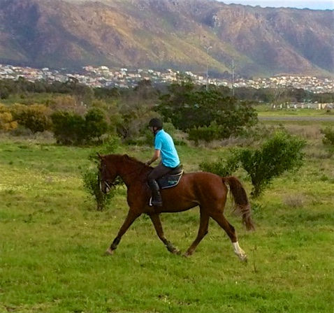 Thumbnail: Scarlett N