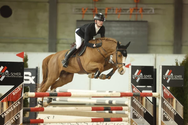 Excelsior Optimus Z x Comfortuna VDL  x Argentinus
