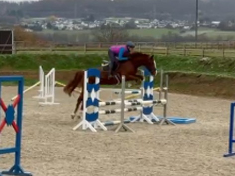 First impressions under the saddle of Djumper 🥰