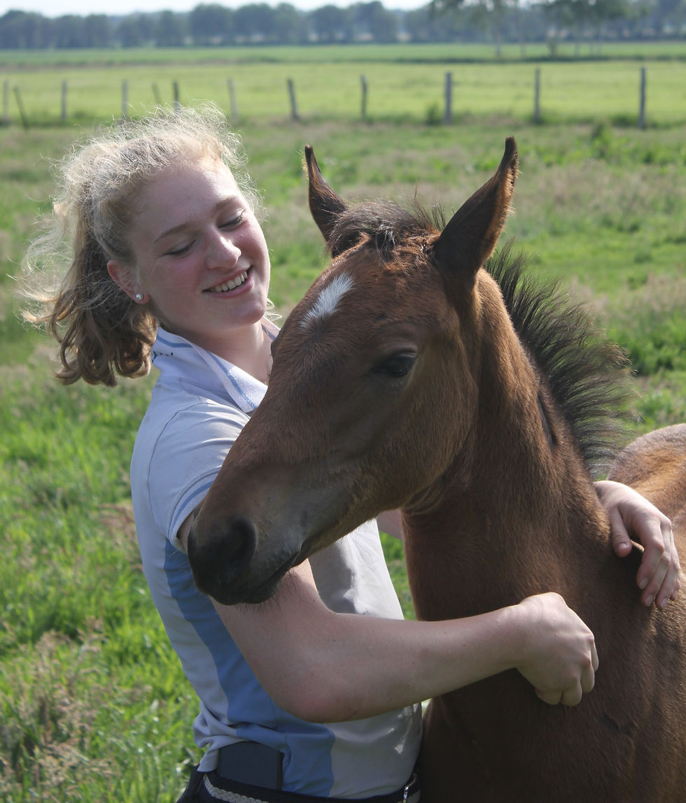 Miniaturbild: CURT von Checkter