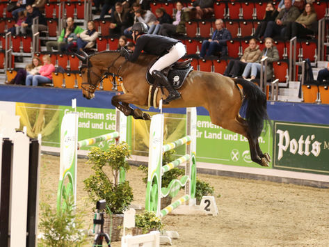 Ciao Bella Calmia 🗽