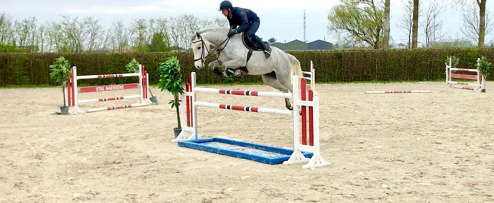 Miniaturbild: Corvallo N Z