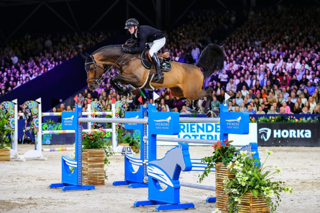 Fohlen von Comthago aus Maccarena von Mumbai