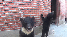 640.gif