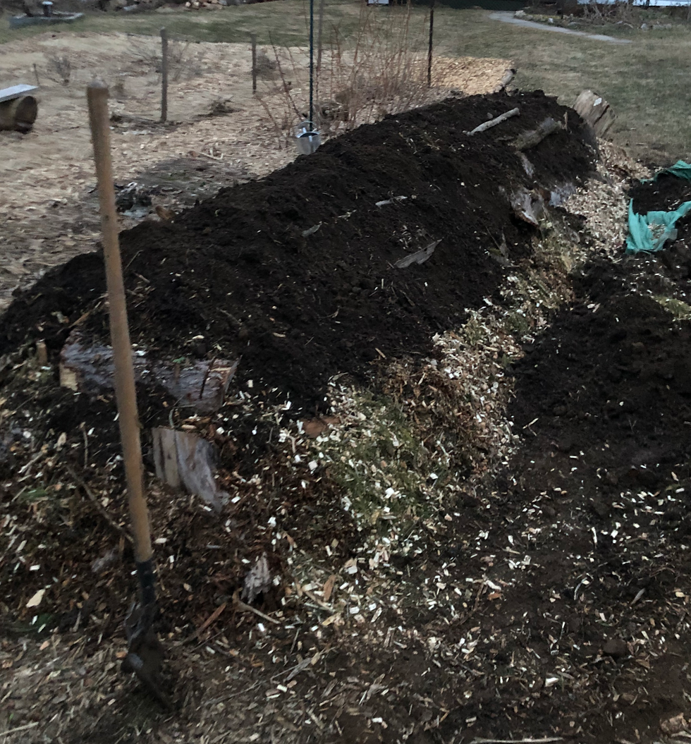 hugelkultur project almost completed! 