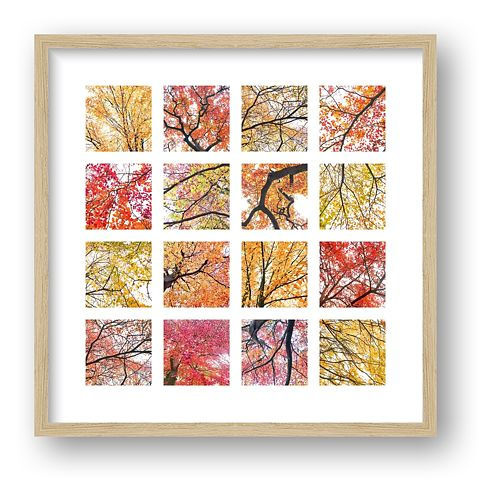 Thumbnail: Burghley trees