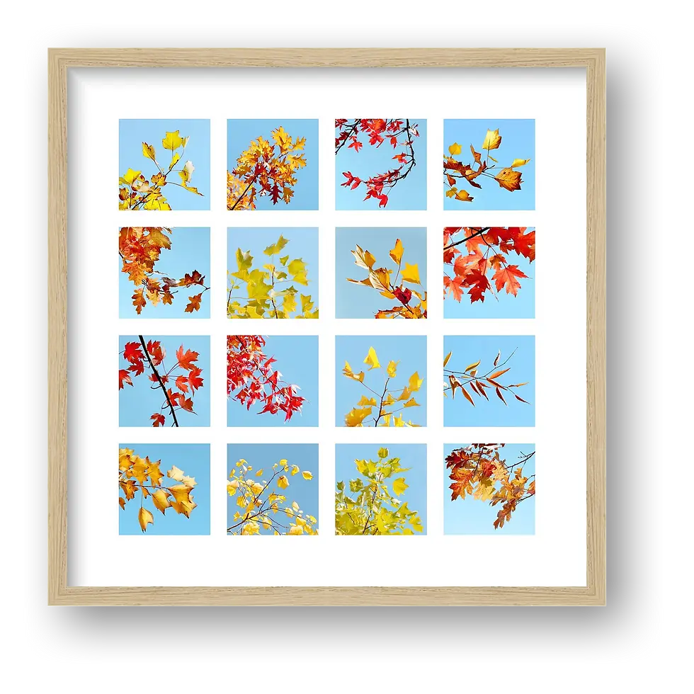 Thumbnail: Autumn Leaves