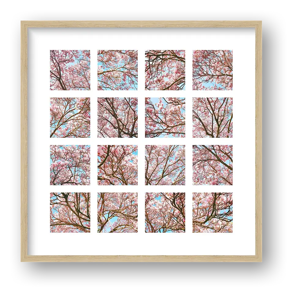 Thumbnail: Pink Blossom