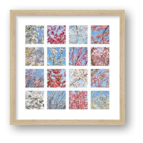 Thumbnail: Pink and White Blossom