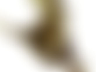 [FULL] Ls Land Issue 06 Little Pirates ((LINK))