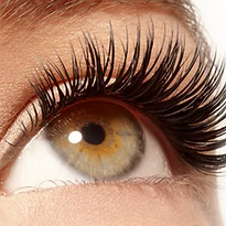 eye lash extensions windsor