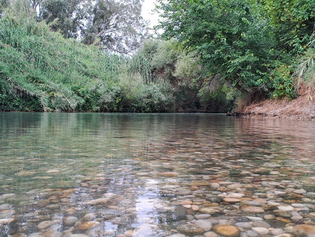 בקרוב: הסבר על התעלומה בנחלים